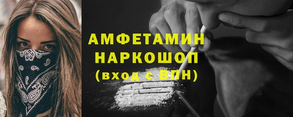 соль ск Дмитриев