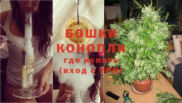 каннабис Алексеевка