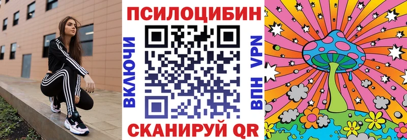 цены   Цимлянск  Галлюциногенные грибы GOLDEN TEACHER 